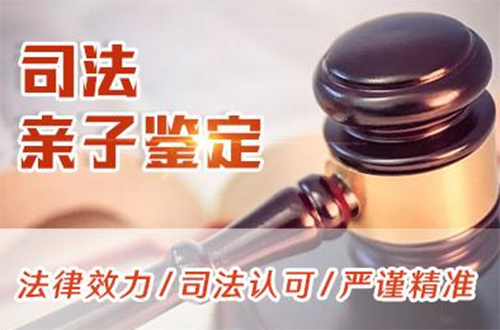 常德司法DNA亲子鉴定费用是多少,常德司法DNA亲子鉴定如何办理